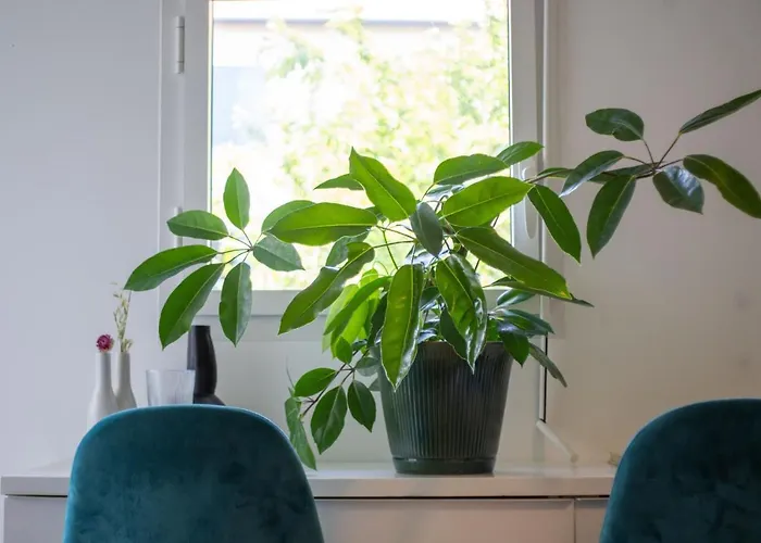 Bel Lumineux A بياريتز